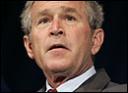 bush-george130.jpg