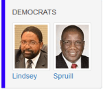 5thSenateDemNom